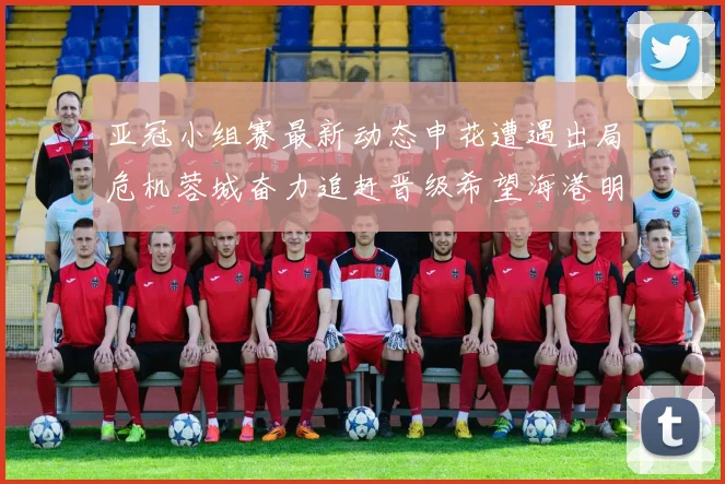 亚冠小组赛最新动态申花遭遇出局危机蓉城奋力追赶晋级希望海港明日迎战挑战