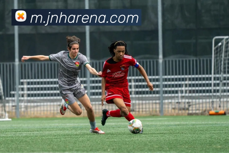 金年会APP 封面图